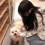 灵域传奇之梦幻征途官方